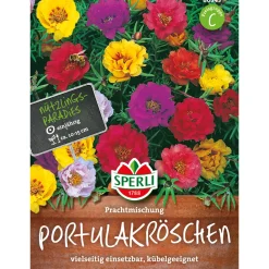 Sperli Portulakröschen Prachtmischung