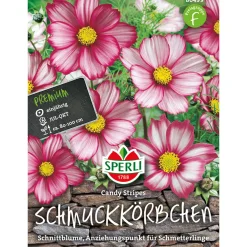 Sale Sperli Schmuckkörbchen Candy Stripes