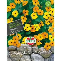 Sale Sperli Schwarzäugige Susanne Helios Mischung