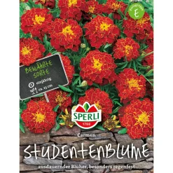 Sale Sperli Studentenblumen Carmen