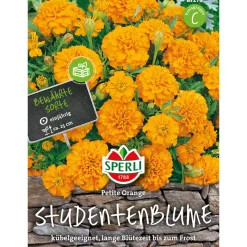 New Sperli Studentenblumen Petite Orange