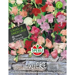 Hot Sperli Wicken ngs Gigantea Mischung