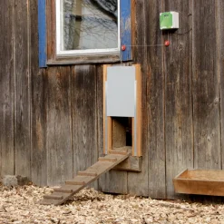 Clearance Steuergerät für Hühnertür schwarz
