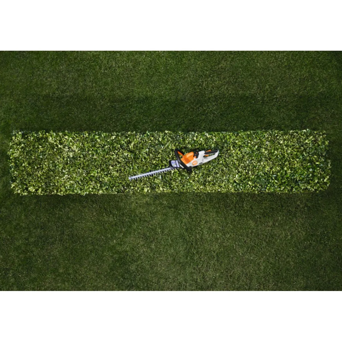 Sale Stihl Akku-Heckenschere HSA 30