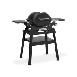 Weber Gasgrill mit Stand Q1200N