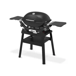 Best Weber Gasgrill mit Stand Q2200N