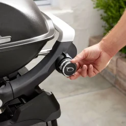 Best Weber Gasgrill mit Stand Q2200N