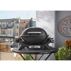 Clearance Weber Gasgrill Q1100N