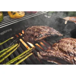 Outlet Weber Gasgrill SPIRIT E-310
