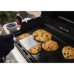 Best Weber Gasgrill SPIRIT E-425 GBS
