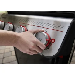 Best Weber Gasgrill SPIRIT E-425 GBS