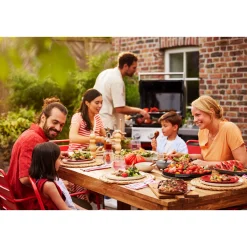 Clearance Weber Gasgrill SPIRIT EP-425 GBS