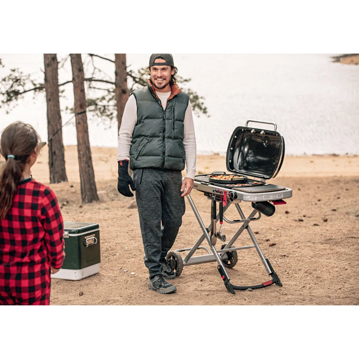Best Weber Gasgrill Traveler