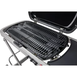Best Weber Gasgrill Traveler