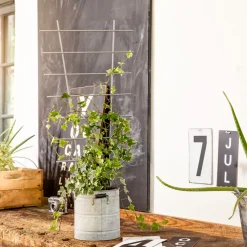 Best Windhager Blumenstütze 77x34 cm metall
