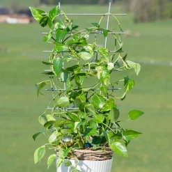 Best Windhager Blumenstütze 77x34 cm metall