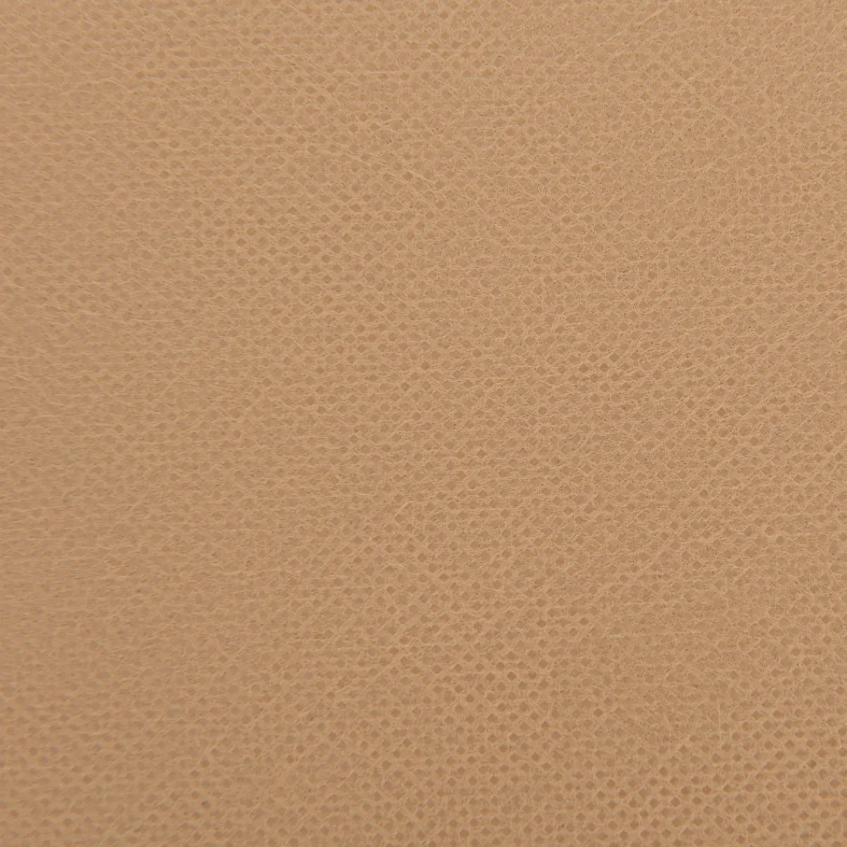 Sale Winter-Vlies Protect 5x2 m, 30g/m2